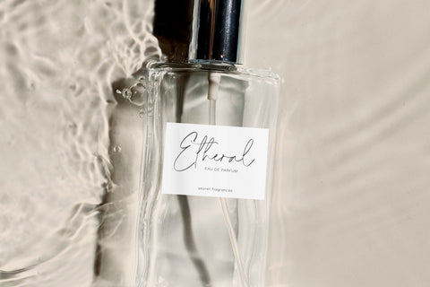 Fashioniqa - Modern Signature Font Font Timur type 