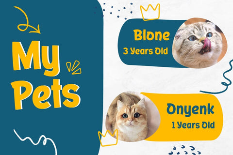 Fathuk Font Font twinletter 