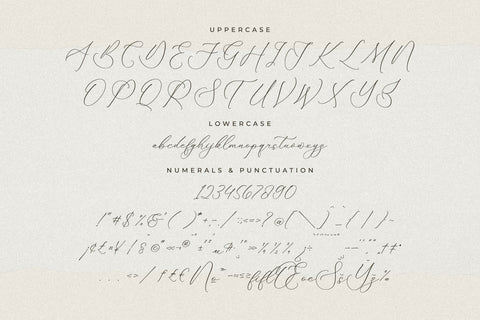 Fattrios Schudnel - Chic Calligraphy Font Font Storytype Studio 