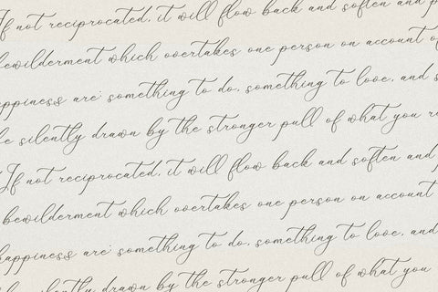 Fattrios Schudnel - Chic Calligraphy Font Font Storytype Studio 