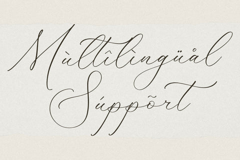 Fattrios Schudnel - Chic Calligraphy Font Font Storytype Studio 