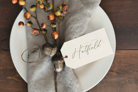 Fattrios Schudnel - Chic Calligraphy Font Font Storytype Studio 