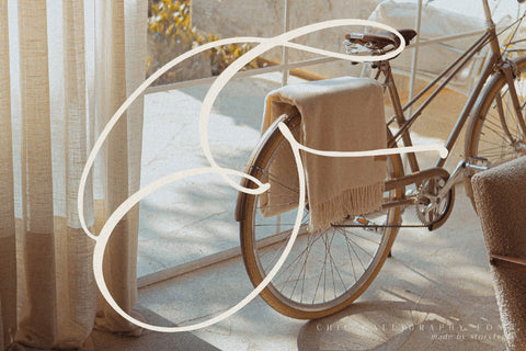 Fattrios Schudnel - Chic Calligraphy Font Font Storytype Studio 