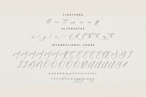 Fattrios Schudnel - Chic Calligraphy Font Font Storytype Studio 