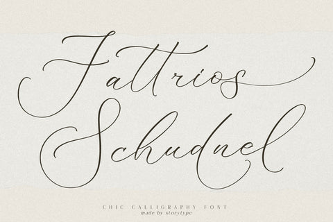 Fattrios Schudnel - Chic Calligraphy Font Font Storytype Studio 