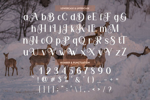 Feldberg - Elegant Luxury Serif Font Font PutraCetol Studio 