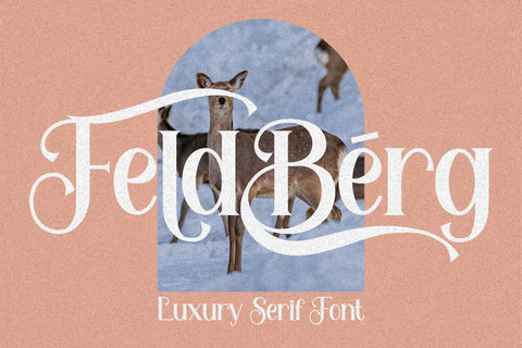 Feldberg - Elegant Luxury Serif Font Font PutraCetol Studio 