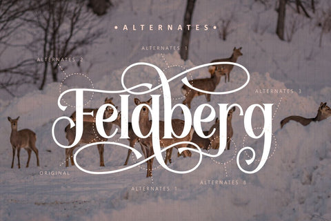 Feldberg - Elegant Luxury Serif Font Font PutraCetol Studio 