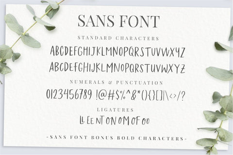 Felichiya Collection SVG Jimtype Studio 