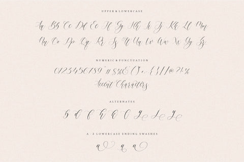 Felmora is a Modern Stylist Calligraphy Font Font Balpirick 