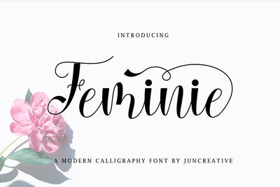 Feminie Italic Script Font Jun Creative 