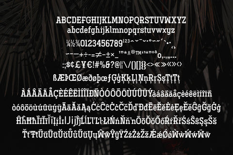 Ferguson Slab Font Family Font Arterfak Project 