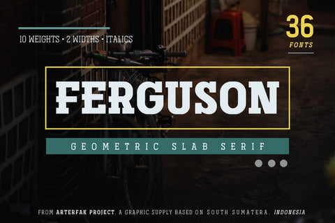 Ferguson Slab Font Family Font Arterfak Project 