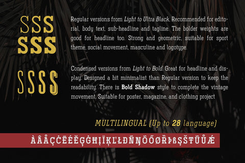 Ferguson Slab Font Family Font Arterfak Project 