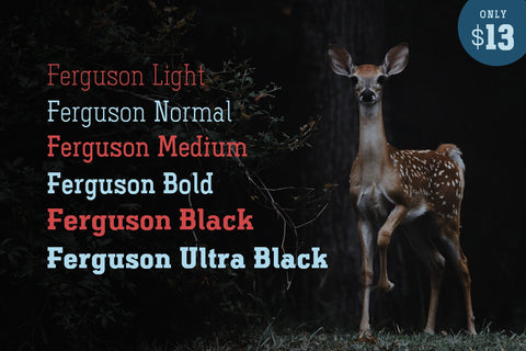 Ferguson Slab Font Family Font Arterfak Project 
