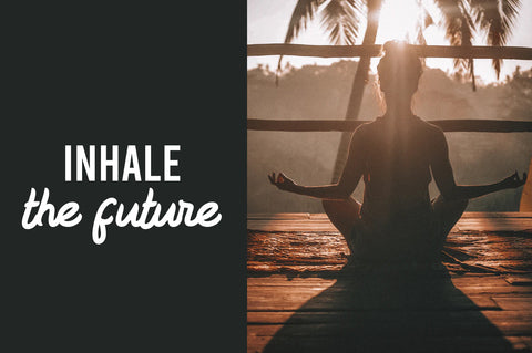 Ficked - Monoline Script Font Vultype Co 