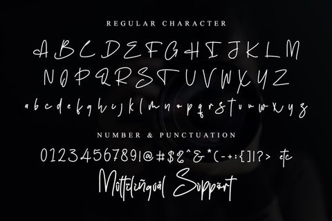 Fillippo Font Stefani Letter 