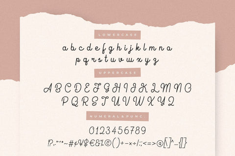 Fioretta Monoline Signature Font Creatype Studio 