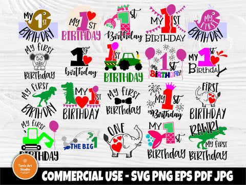 First Birthday SVG Bundle, Birthday Boy & Girl Svg SVG TonisArtStudio 