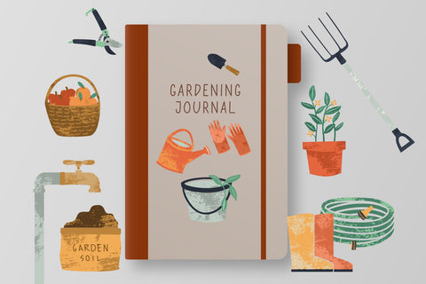 Fisher Feast Font Cotton White Studio 