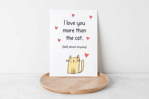 Fisher Feast Font Cotton White Studio 