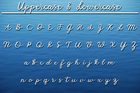 Fisherman Script - A Fun Script Font with Fishing Extras Font Laura Swanson Design 