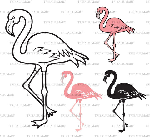 Flamingo bird SVG TribaliumArtSF 