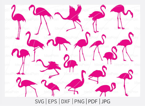 flamingo pink and black svg, Flamingo svg, Flamingo Svg Bundle, Pink Flamingo svg, Flamingo Silhouette, black Flamingo svg, Flamingo Vector,Flamingo Clipart png SVG Dinvect 