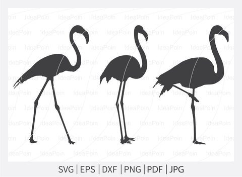 flamingo pink and black svg, Flamingo svg, Flamingo Svg Bundle, Pink Flamingo svg, Flamingo Silhouette, black Flamingo svg, Flamingo Vector,Flamingo Clipart png SVG Dinvect 