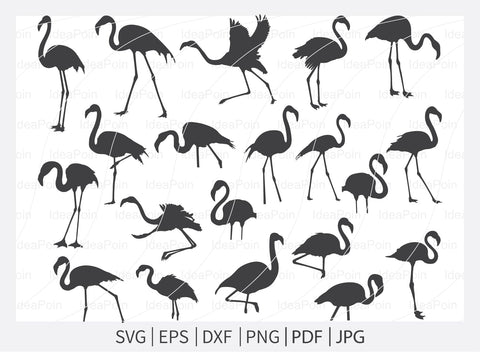 flamingo pink and black svg, Flamingo svg, Flamingo Svg Bundle, Pink Flamingo svg, Flamingo Silhouette, black Flamingo svg, Flamingo Vector,Flamingo Clipart png SVG Dinvect 