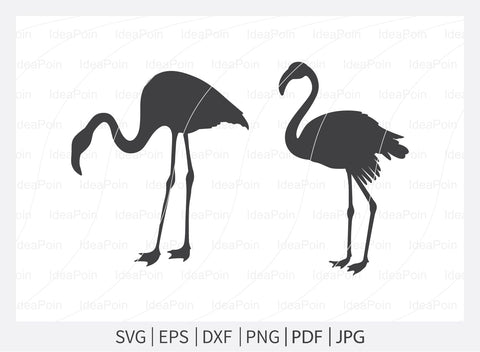 flamingo pink and black svg, Flamingo svg, Flamingo Svg Bundle, Pink Flamingo svg, Flamingo Silhouette, black Flamingo svg, Flamingo Vector,Flamingo Clipart png SVG Dinvect 