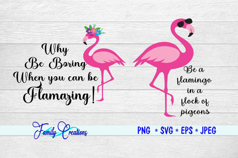 Flamingo Sayings v4 SVG Family Creations 