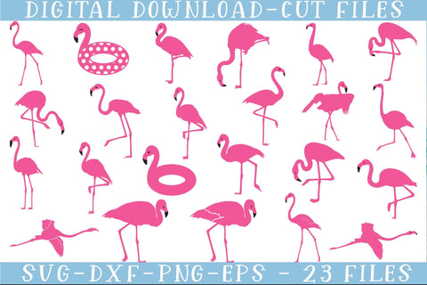Flamingo svg cut files bundle, Flamingo clipart, Flamingo vector art svg, Flamingo cricut, Funny Flamingo avg bundle, Bird svg, Summer season Flamingo svg, Beach Flamingo svg, Flamingo svg SVG Isabella Machell 