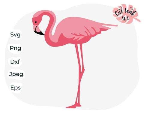 Flamingo svg, Svg for tumblers, flamingo clipart, flamingo png, flamingo cut file, zoo svg, animal svg, beach svg SVG CutLeafSvg 
