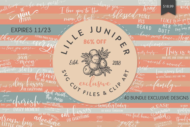 FLASH SALE: Exclusive Sign Makers Bundle by Lille Juniper Bundle So Fontsy Design Shop 