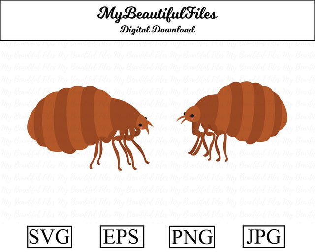 fleas - insect SVG MyBeautifulFiles 