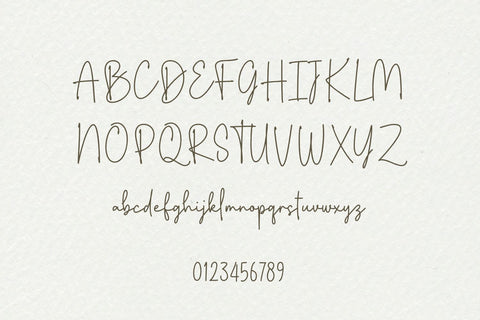 Flighty - a Handwritten Font Font nhfonts 