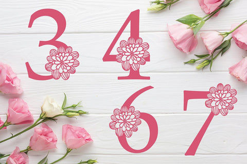 Floral Alphabet Svg Monogram set 0 to 9 - Floral Numbers Set Svg SVG DIYCUTTINGFILES 