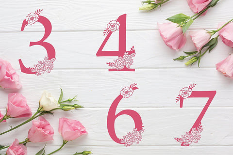 Floral Alphabet Svg Monogram set 0 to 9 - Floral Numbers Set Svg SVG DIYCUTTINGFILES 