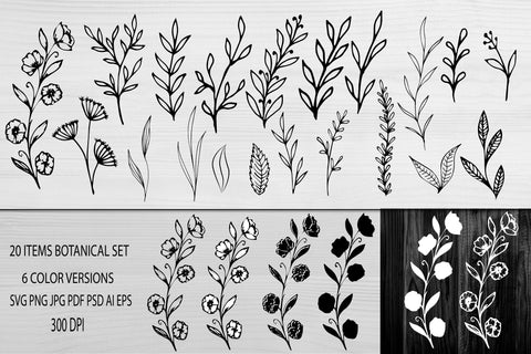 Floral SVG. Flowers SVG. Floral Wreath. Botanical Svg Bundle. SVG Samaha Design 
