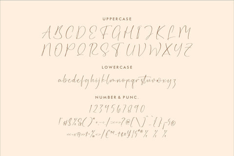 Florethila - Stylish Signature Font Font Storytype Studio 