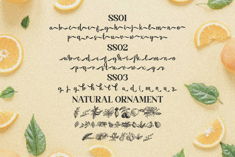 florissha Font Letterena Studios 