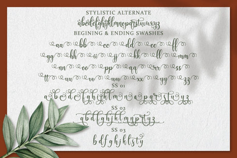 Floristya Script Font studioalmeera 