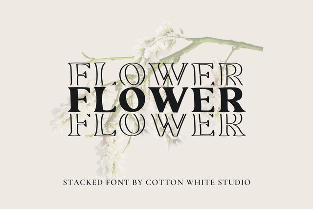 Flower Font Cotton White Studio 