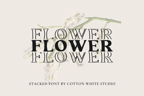 Flower Font Cotton White Studio 