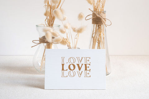 Flower Font Cotton White Studio 