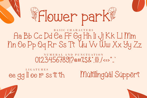 Flower Park - Autumn Display Font Font AEN Creative Store 