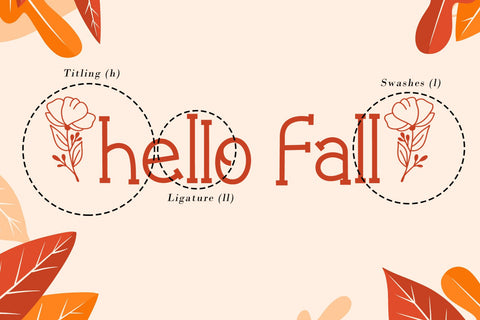 Flower Park - Autumn Display Font Font AEN Creative Store 