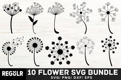 Flower SVG Bundle SVG Regulrcrative 