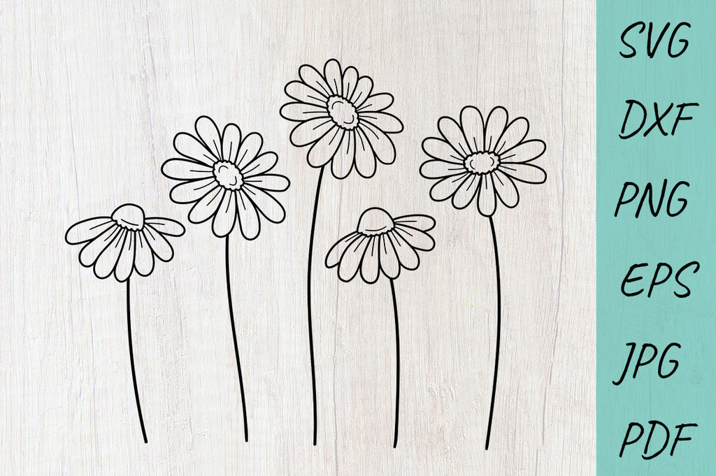 Flower SVG, Daisy SVG, wildflowers SVG, Cute flowers - So Fontsy